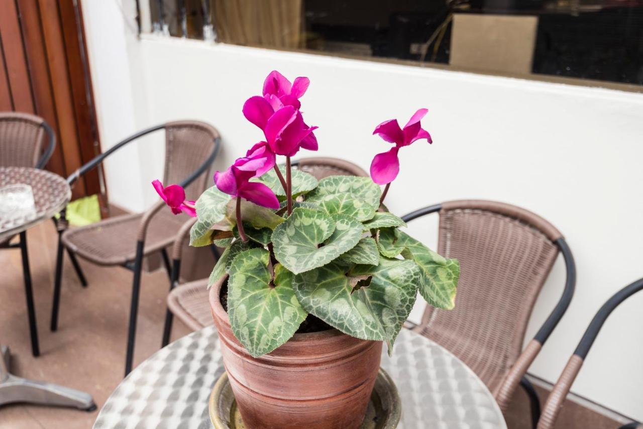 Inti Killa Hostel Lima Kültér fotó